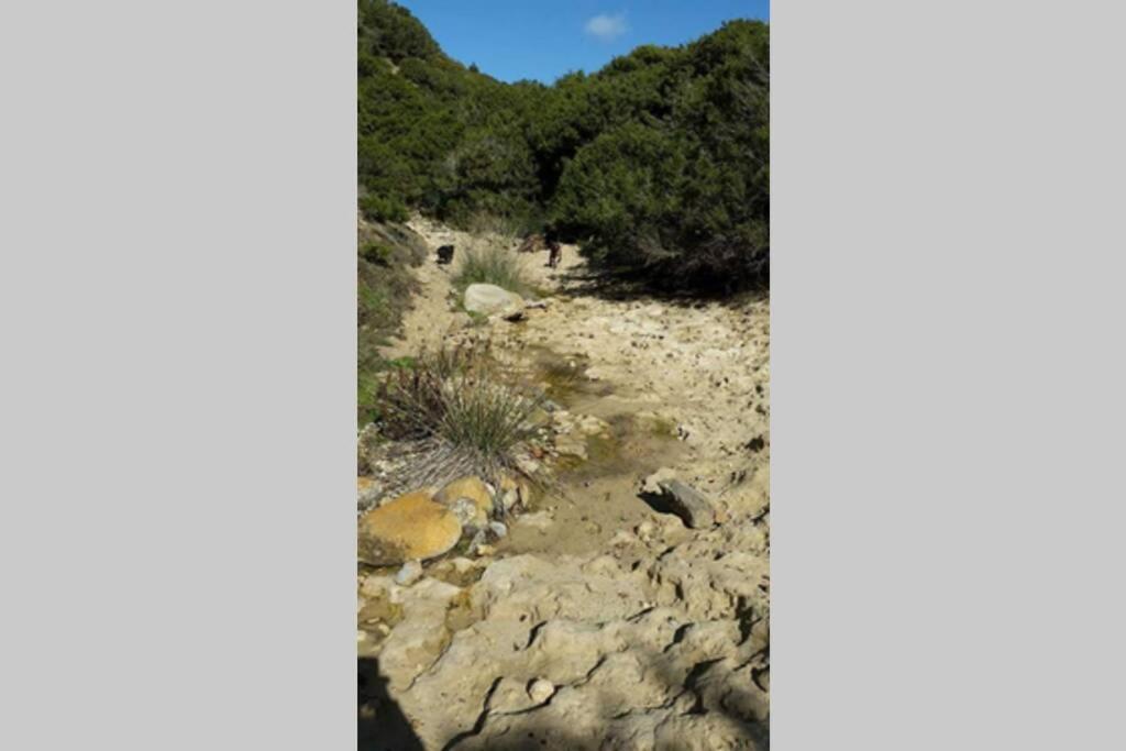 Villa La casa di Dedda I.U.N. Q4233 Santa Caterina Di Pittinuri  Esterno foto
